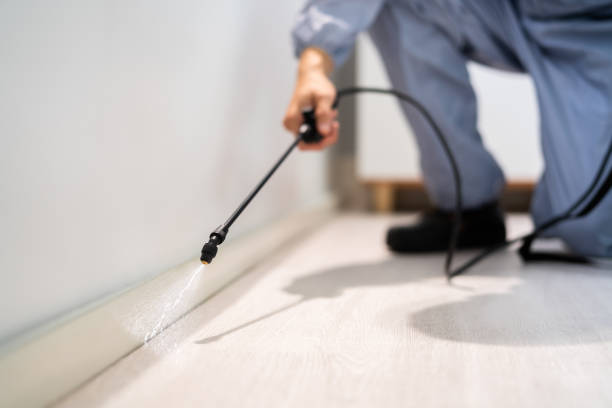 Licensed Termite Control service in Anoka, MN - Nex Pest Control