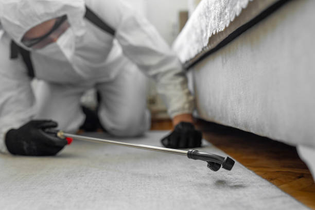 Professional Termite Control technician working in Anoka, MN
