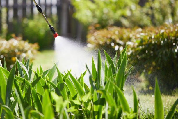 24/7 Emergency Termite Control experts in Anoka, MN