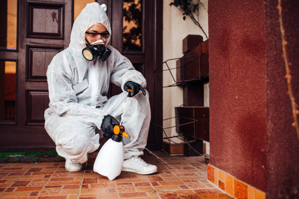 Reliable Termite Control contractor in Anoka, MN by Nex Pest Control