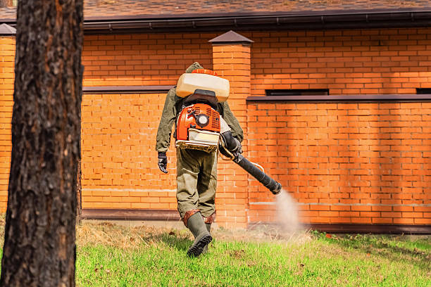 Top rated local Termite Control specialists in Anoka, MN